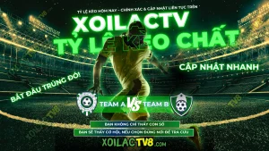 Tỷ lệ kèo là gì? So sánh tỷ lệ kèo và tỷ lệ cược bóng đá – Những yếu tố người chơi cần biết trước khi xuống tiền