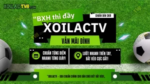 Tra cứu bảng xếp hạng bóng đá hôm nay trên Xoilac TV không cần tài khoản, miễn phí và dễ dàng