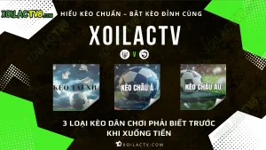 Phân loại các loại tỷ lệ kèo bóng đá phổ biến – kèo châu Á, kèo châu Âu, tài xỉu, kèo phạt góc, kèo rung… trên XoilacTV