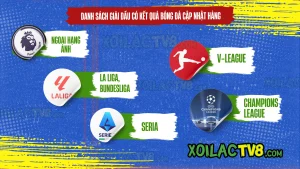 Kết quả bóng đá hôm nay theo từng giải đấu nổi bật – từ Ngoại hạng Anh, Cúp C1, La Liga đến V-League