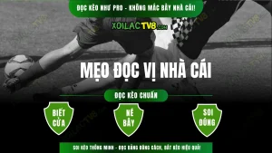 Cách xem và phân tích tỷ lệ kèo bóng đá hôm nay – Hướng dẫn đọc bảng kèo, soi kèo từng trận, cập nhật trực tiếp trên XoilacTV