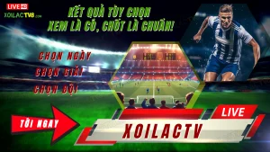 Hướng dẫn tra cứu kết quả bóng đá theo ngày, giờ, đội bóng trên Xoilac TV – Xem và chia sẻ dễ dàng