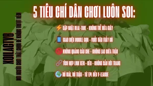 Tổng hợp tỷ số bóng đá trực tiếp theo từng giải đấu lớn – cập nhật real-time trên XoilacTV