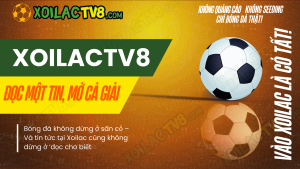 So sánh Xoilac TV với 90phut, Mitom, Thể Thao 247 về kết quả bóng đá trực tuyến, tốc độ cập nhật và trải nghiệm người dùng