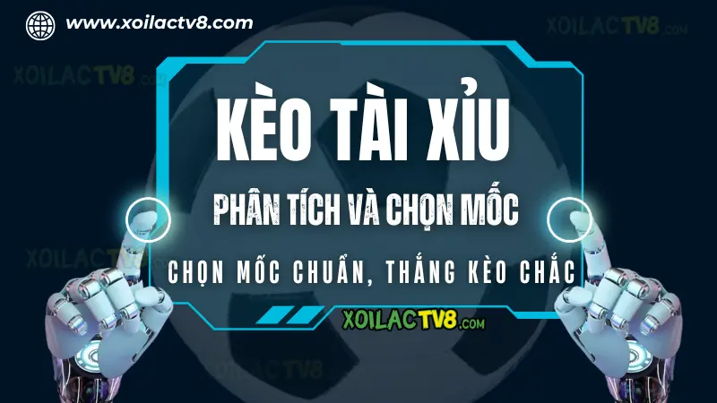 Kèo tài xỉu là gì? Hướng dẫn phân tích và chọn mốc tài xỉu phù hợp theo từng trận đấu