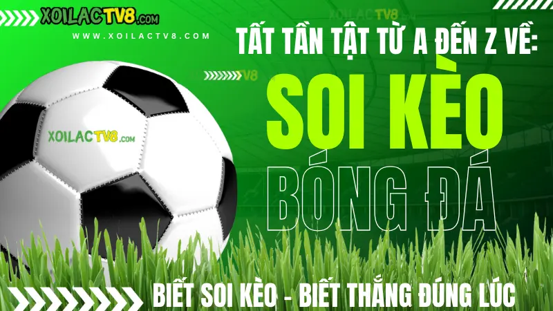 Soi kèo theo thống kê – Phân tích dữ liệu trận đấu để đặt cược logic và hiệu quả hơn